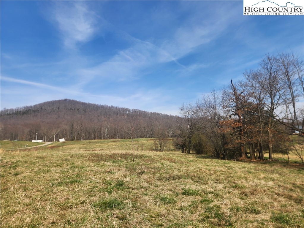 363 Center Church Road Hiddenite, NC 28636 - Photo 39 of 49