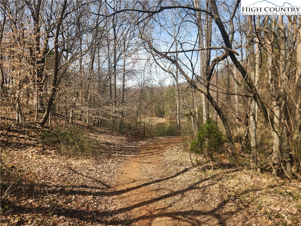 363 Center Church Road Hiddenite, NC 28636 - Photo 42 of 49