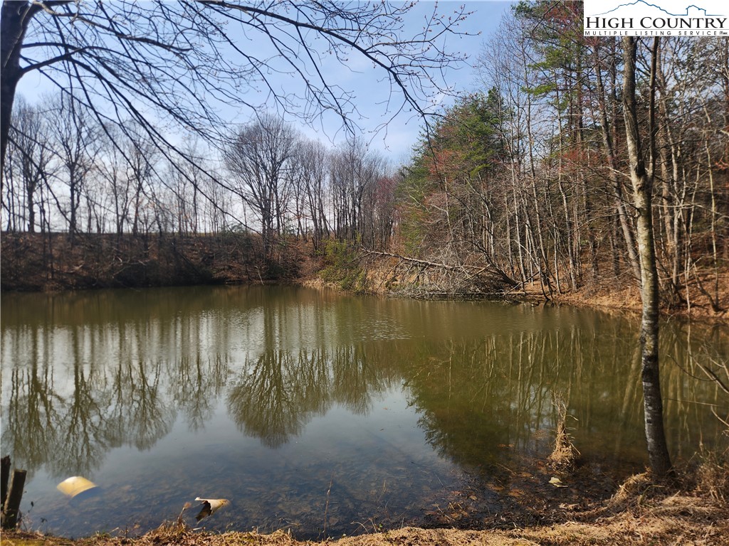 363 Center Church Road Hiddenite, NC 28636 - Photo 43 of 49