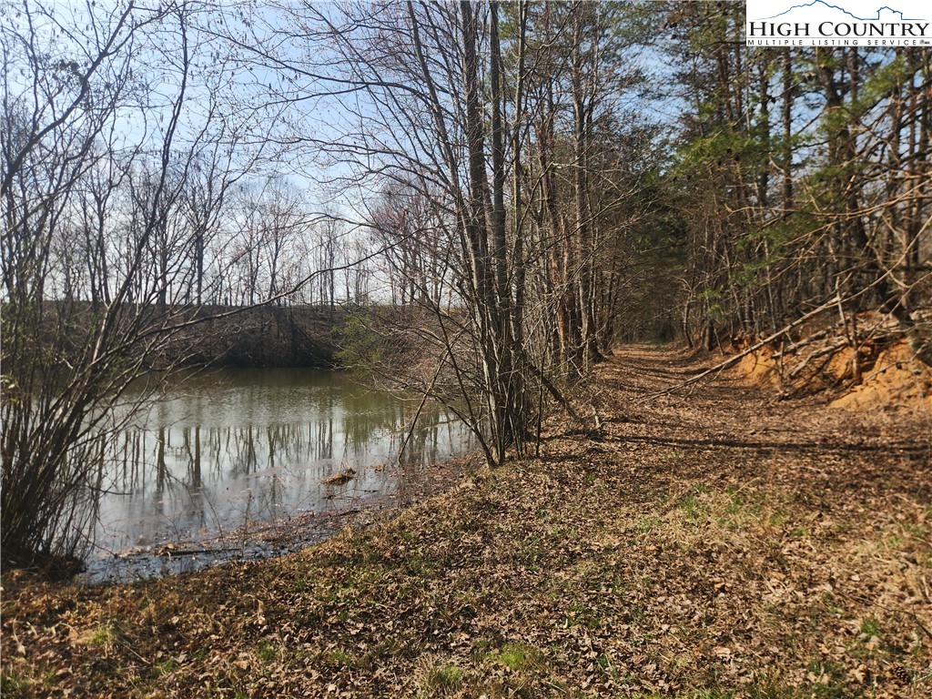 363 Center Church Road Hiddenite, NC 28636 - Photo 44 of 49