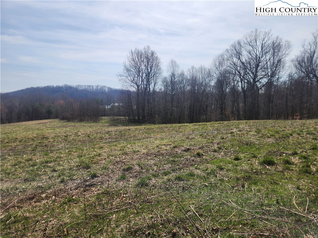 363 Center Church Road Hiddenite, NC 28636 - Photo 46 of 49