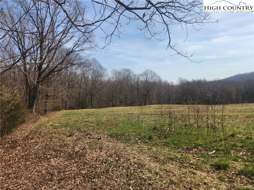 363 Center Church Road Hiddenite, NC 28636 - Photo 47 of 49