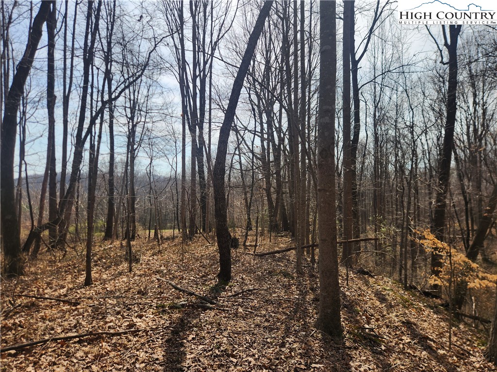 363 Center Church Road Hiddenite, NC 28636 - Photo 48 of 49