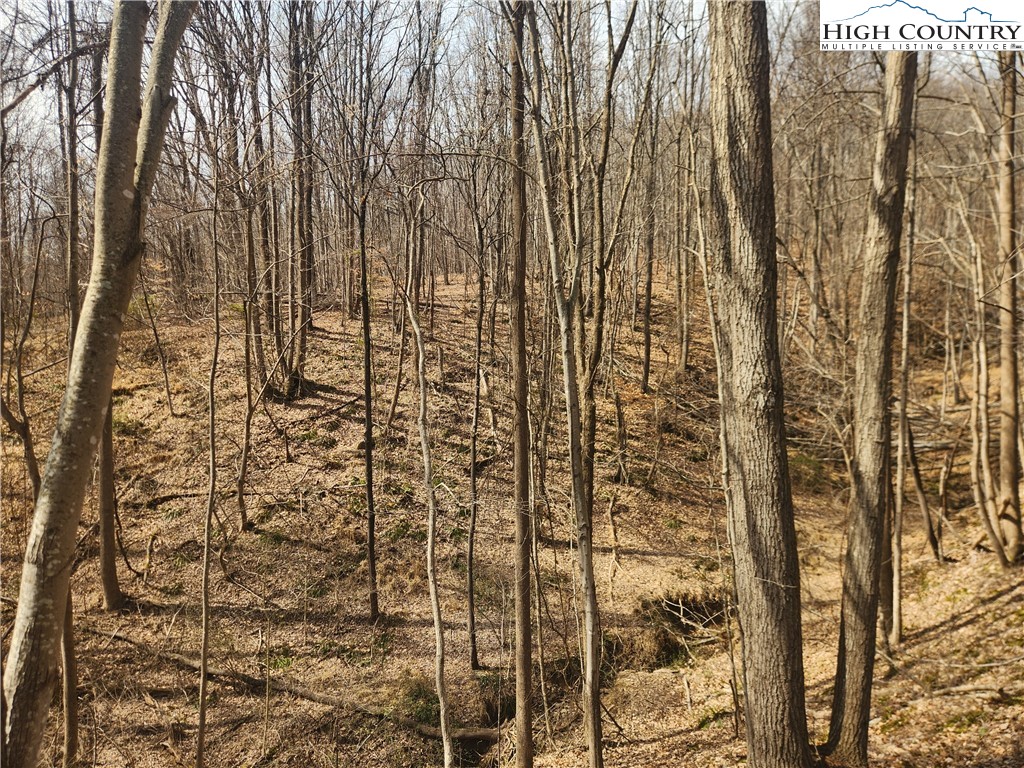 363 Center Church Road Hiddenite, NC 28636 - Photo 5 of 49