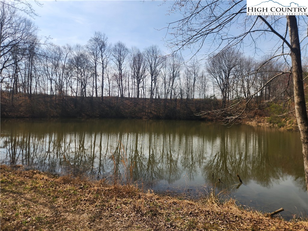 363 Center Church Road Hiddenite, NC 28636 - Photo 6 of 49