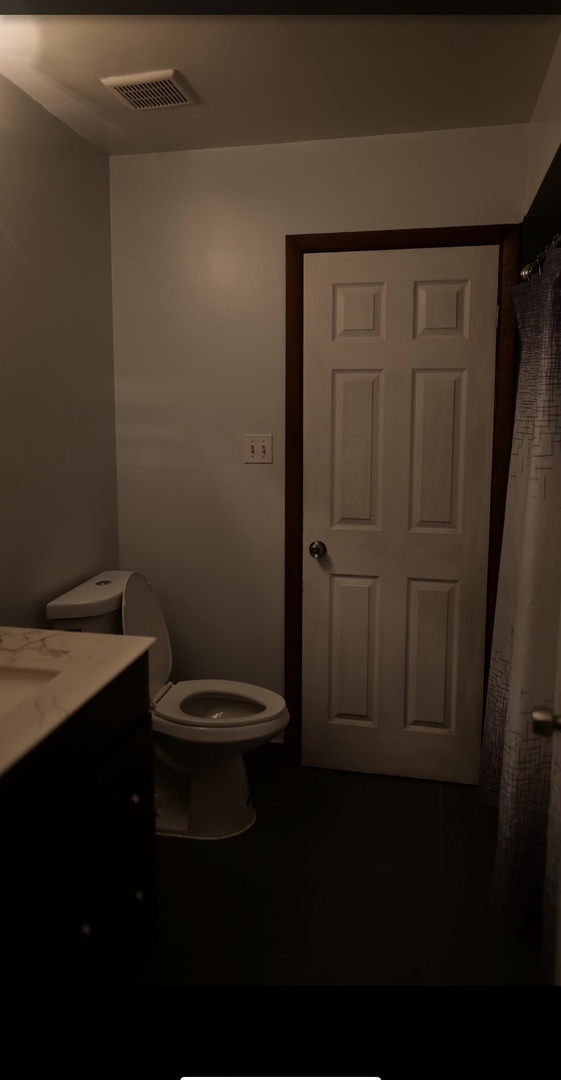 748 Old Meadow Road Matteson, IL 60443 - Photo 7 of 10 a bathroom with a toilet a sink and vanity