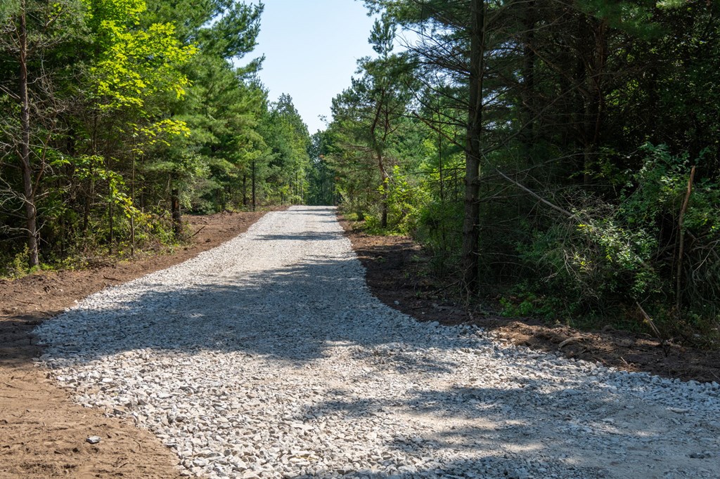 Lot 2 Scandia Road Sister Bay, WI 54234 - Photo 4 of 17