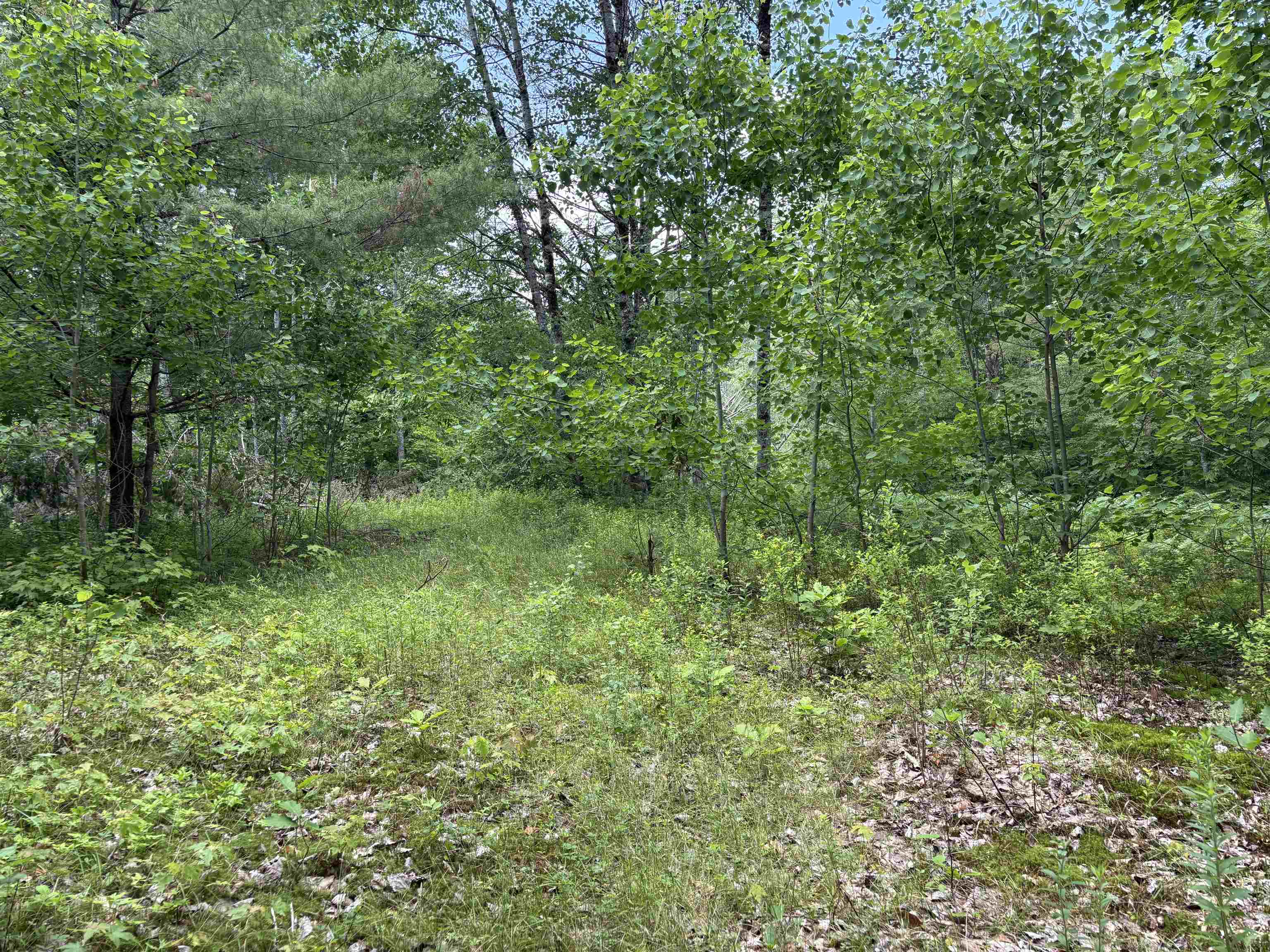 0 Simonsville Road, Unit LOT 3 Andover, VT 05143 - Photo 20 of 27