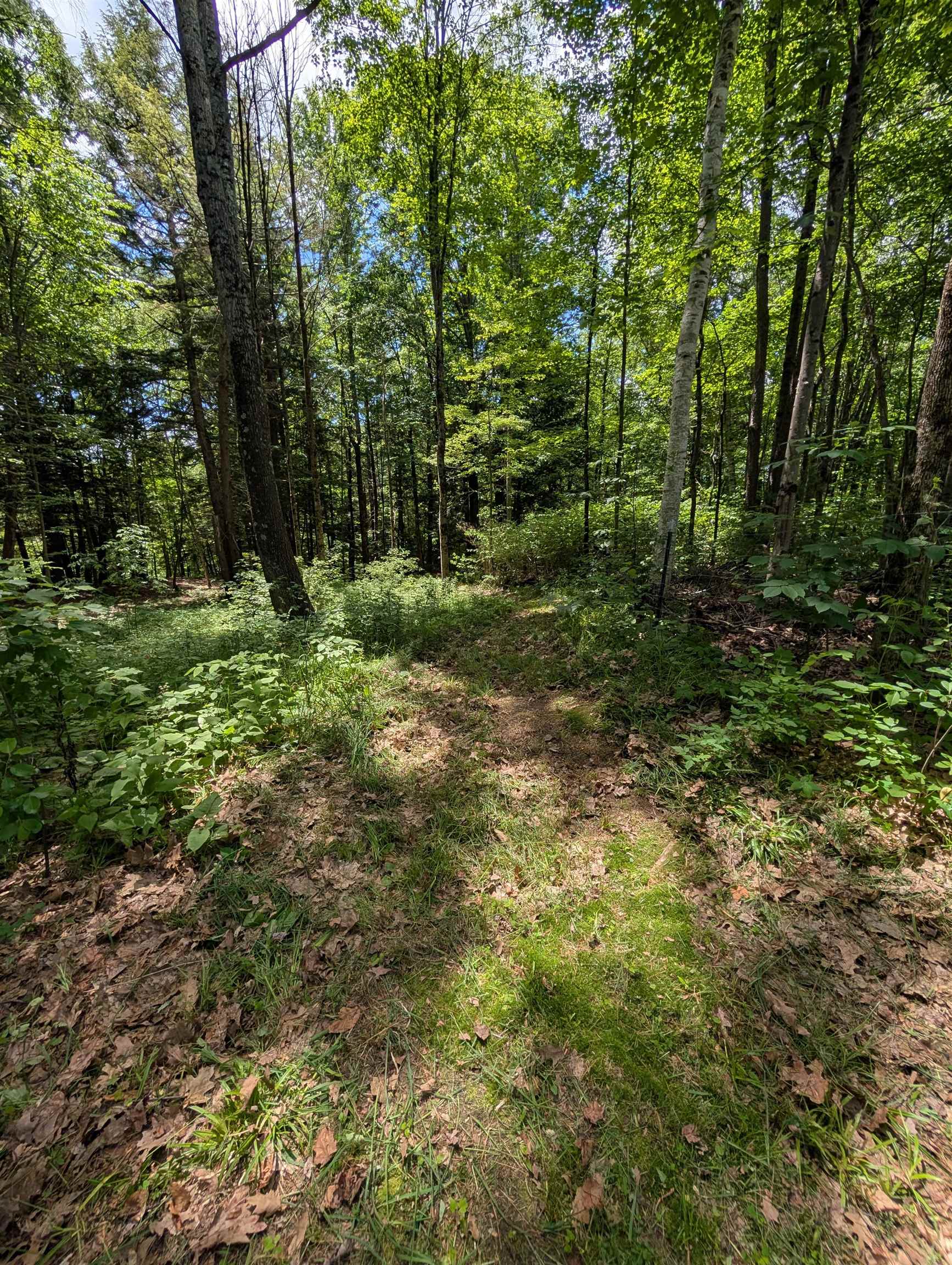 315 Rte 4a West Castleton, VT 05735 - Photo 45 of 58