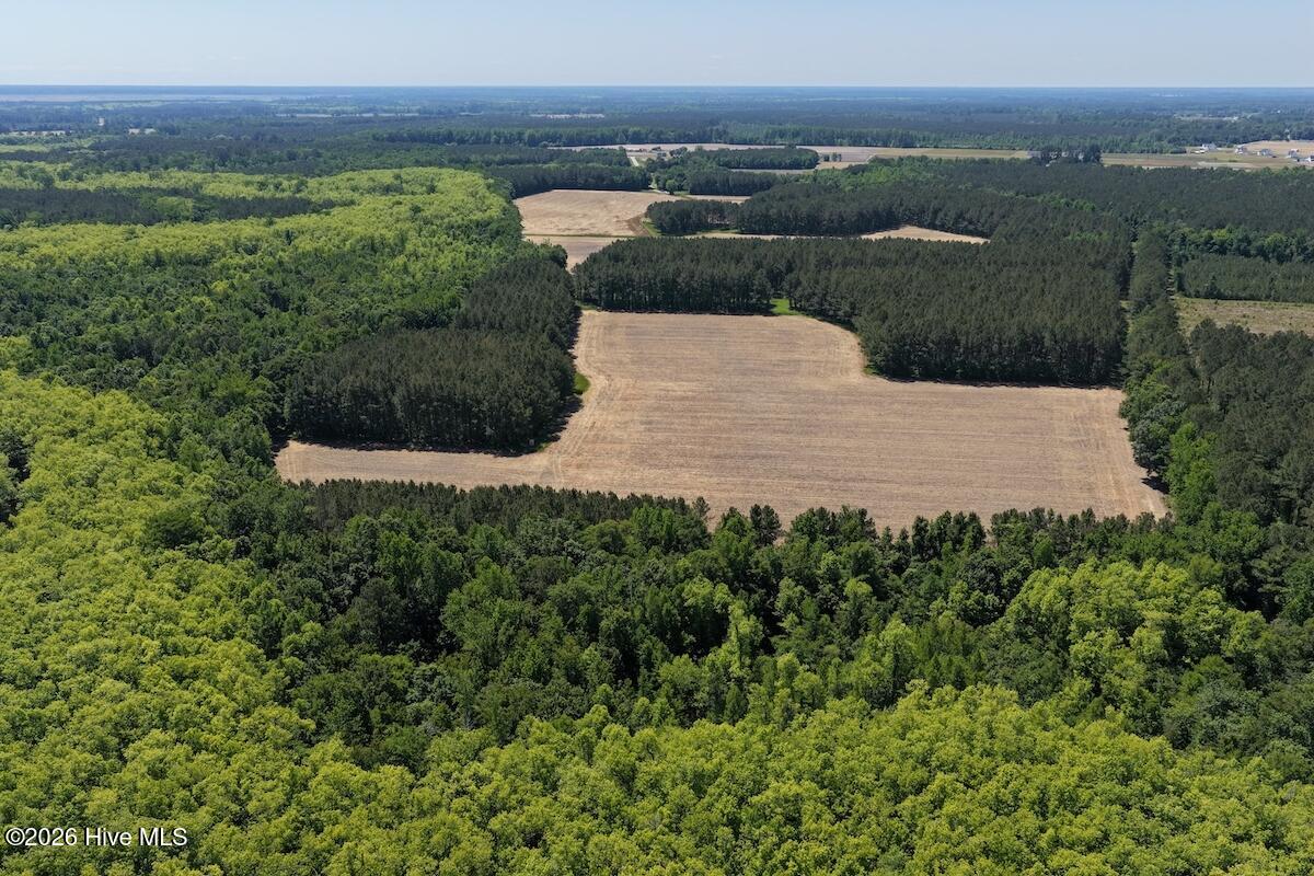 0 Kirkman Road Robersonville, NC 27871 - Photo 28 of 31 34