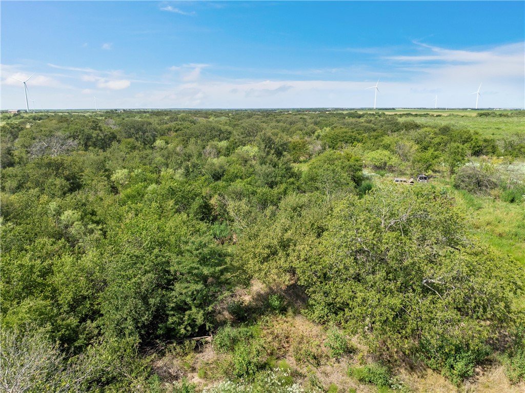295 HCR 3240 Mount Calm, TX 76673 - Photo 11 of 12