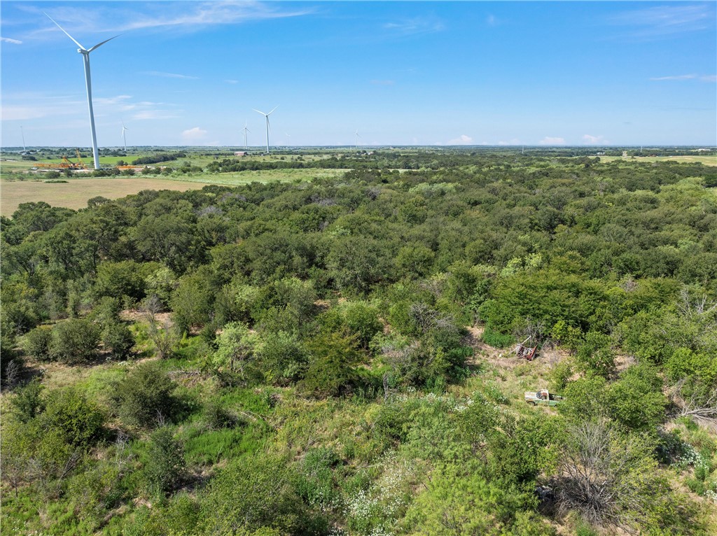 295 HCR 3240 Mount Calm, TX 76673 - Photo 12 of 12
