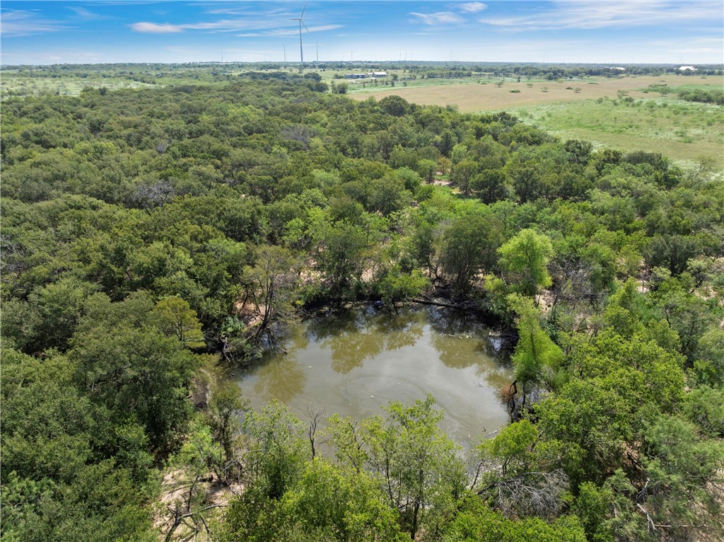 295 HCR 3240 Mount Calm, TX 76673 - Photo 3 of 12