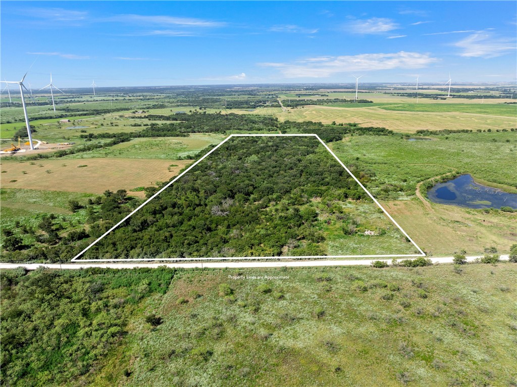 295 HCR 3240 Mount Calm, TX 76673 - Photo 4 of 12