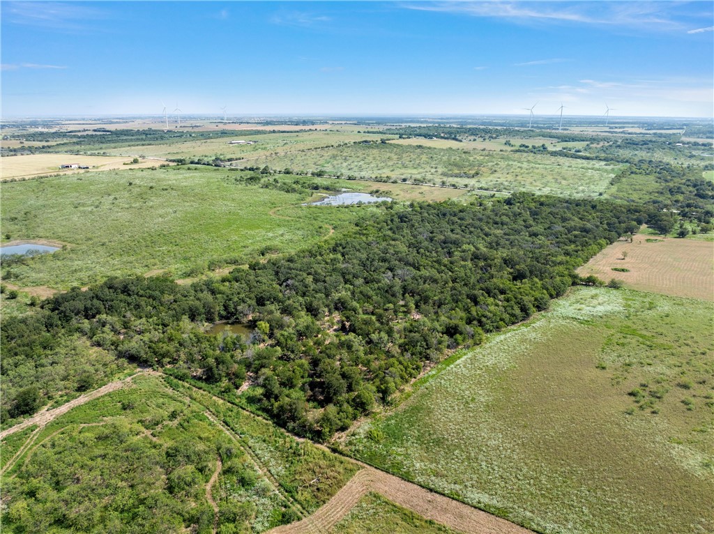 295 HCR 3240 Mount Calm, TX 76673 - Photo 6 of 12
