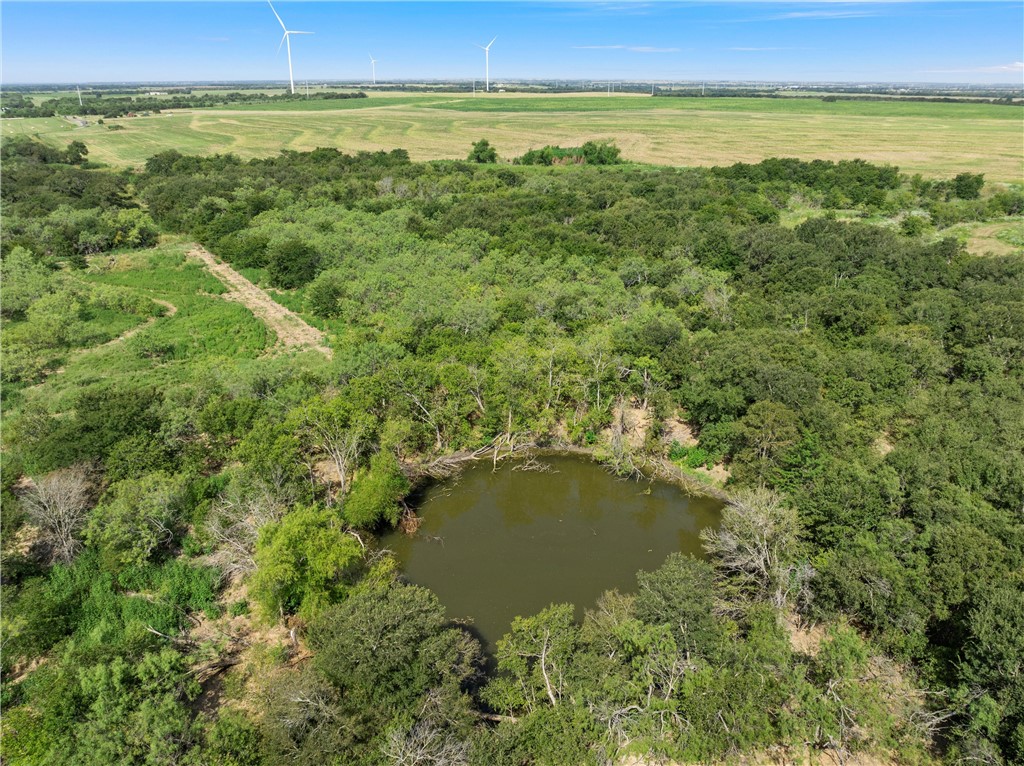 295 HCR 3240 Mount Calm, TX 76673 - Photo 8 of 12