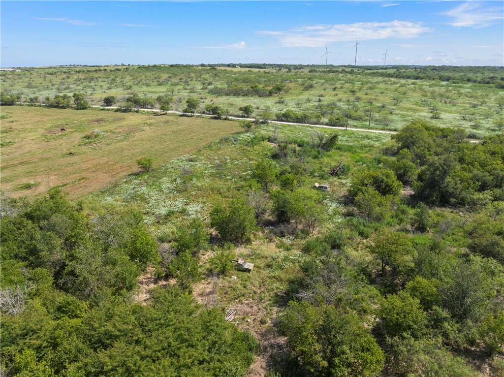 295 HCR 3240 Mount Calm, TX 76673 - Photo 9 of 12