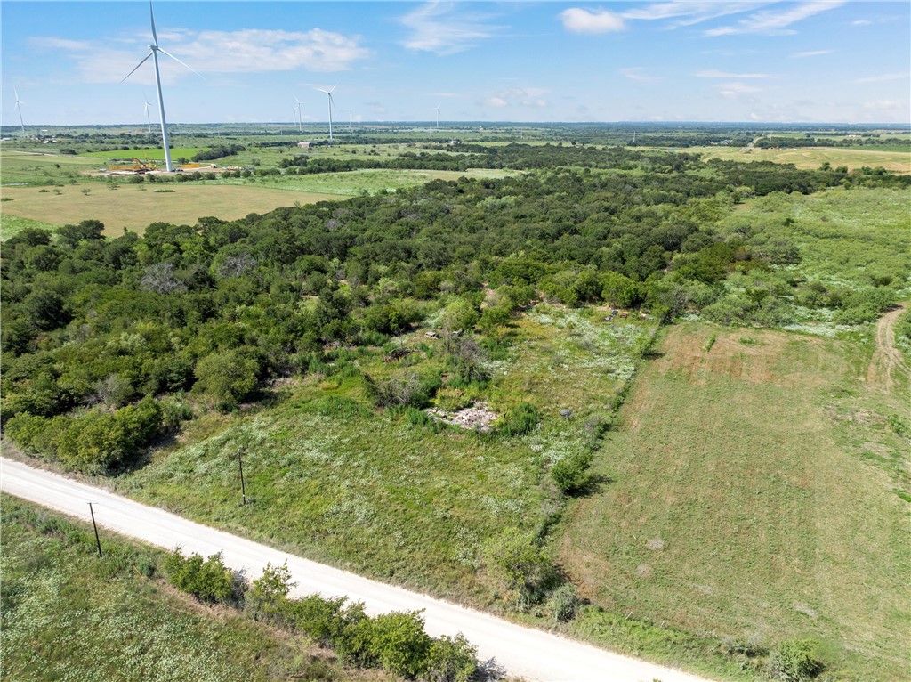 295 HCR 3240 Mount Calm, TX 76673 - Photo 10 of 12