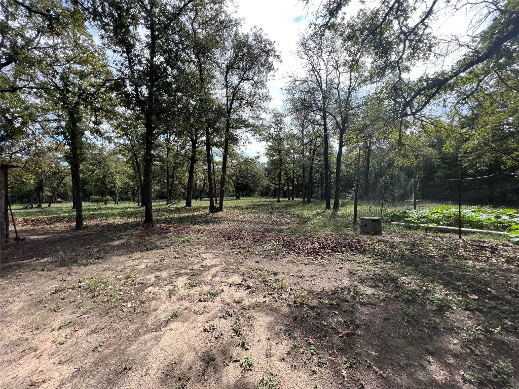 680 Hidden Oaks Drive Elgin, TX 78621 - Photo 5 of 6 a view of outdoor space with trees