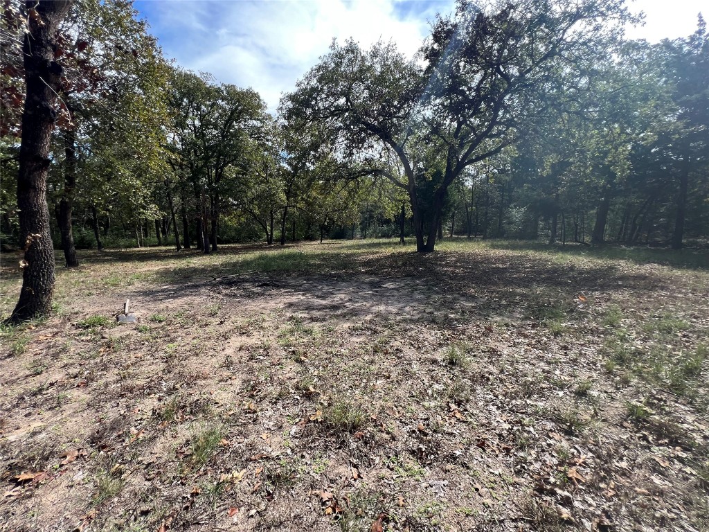 680 Hidden Oaks Drive Elgin, TX 78621 - Photo 6 of 6 a view of a yard with a tree