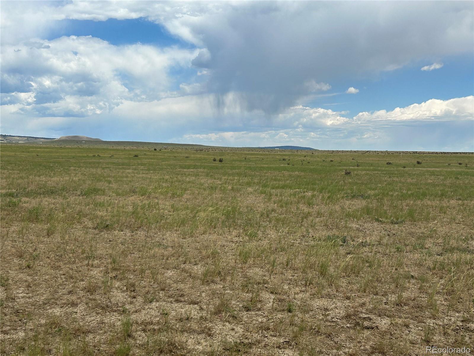 Lot 53 Colorado Buffalo Ranch Rye, CO 81069 - Photo 5 of 10