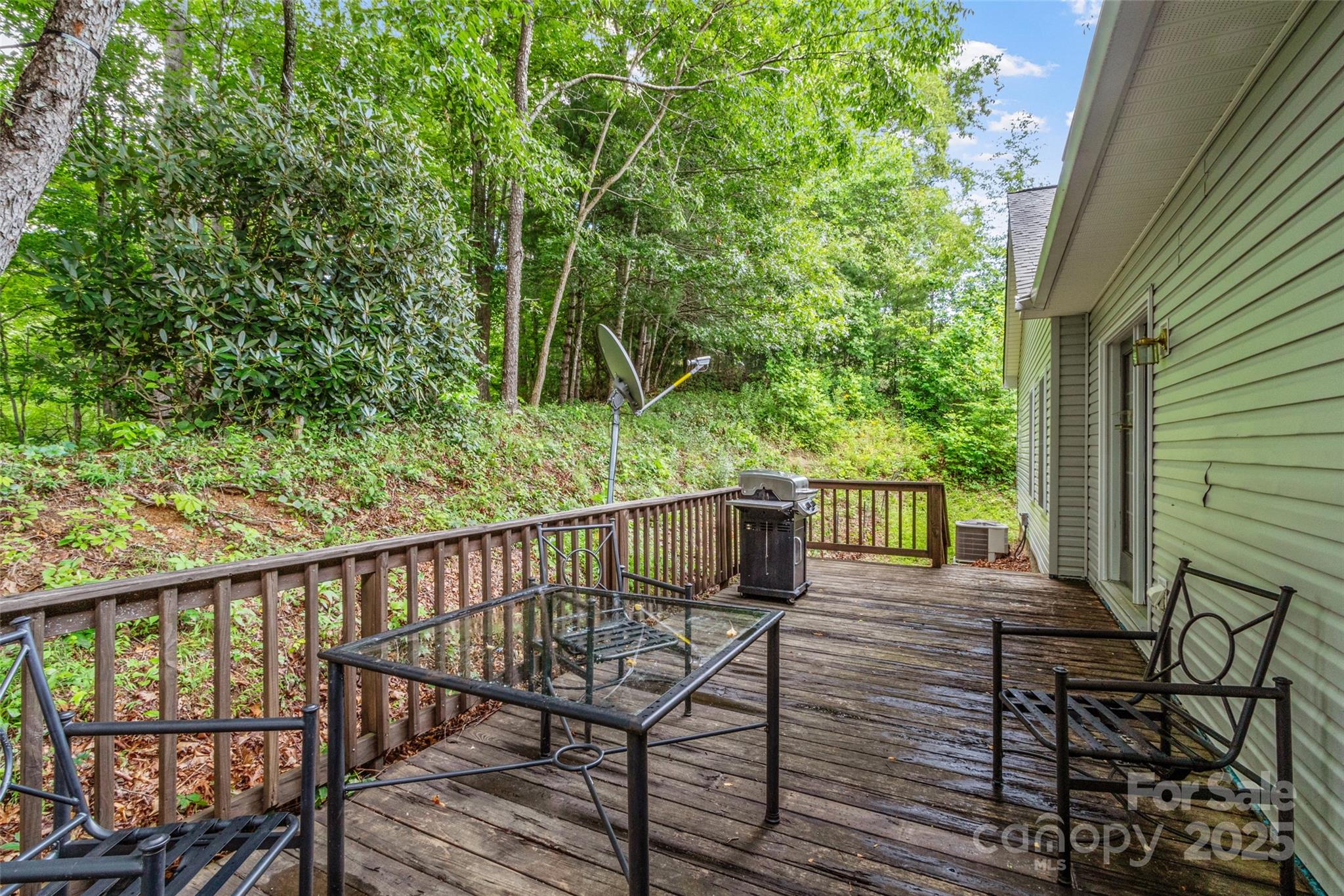 161 Blue Rock Road Burnsville, NC 28714 - Photo 34 of 48