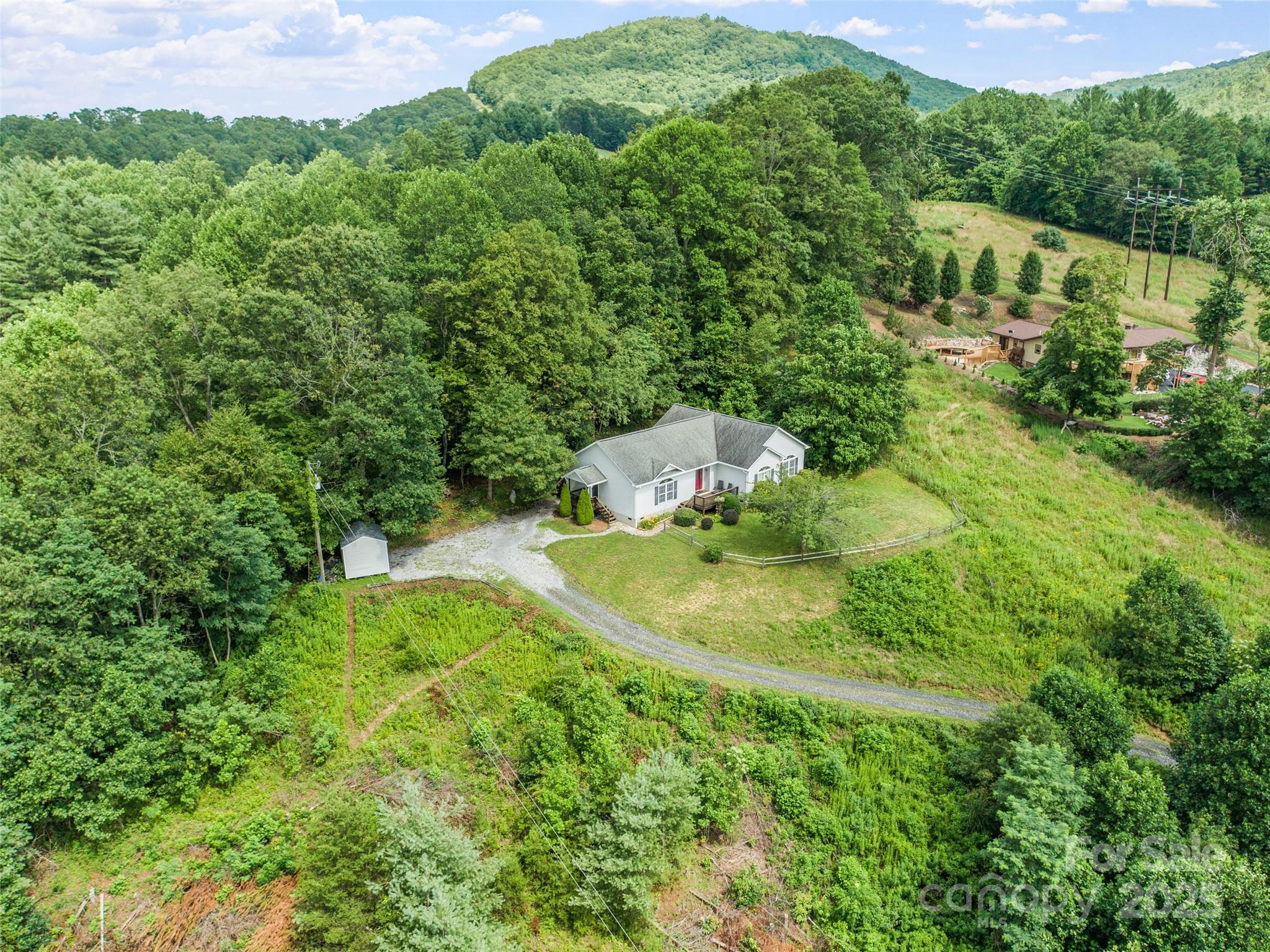 161 Blue Rock Road Burnsville, NC 28714 - Photo 38 of 48 a view of a garden with a fountain