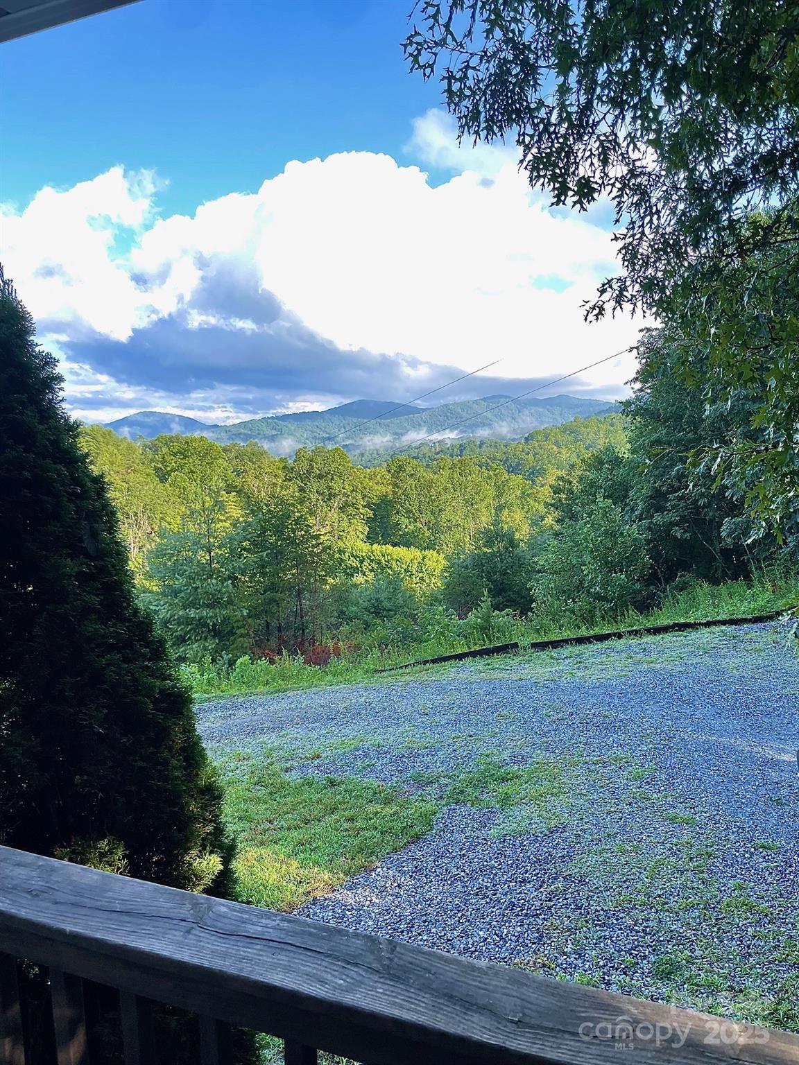 161 Blue Rock Road Burnsville, NC 28714 - Photo 46 of 48 a view of a green field with an trees