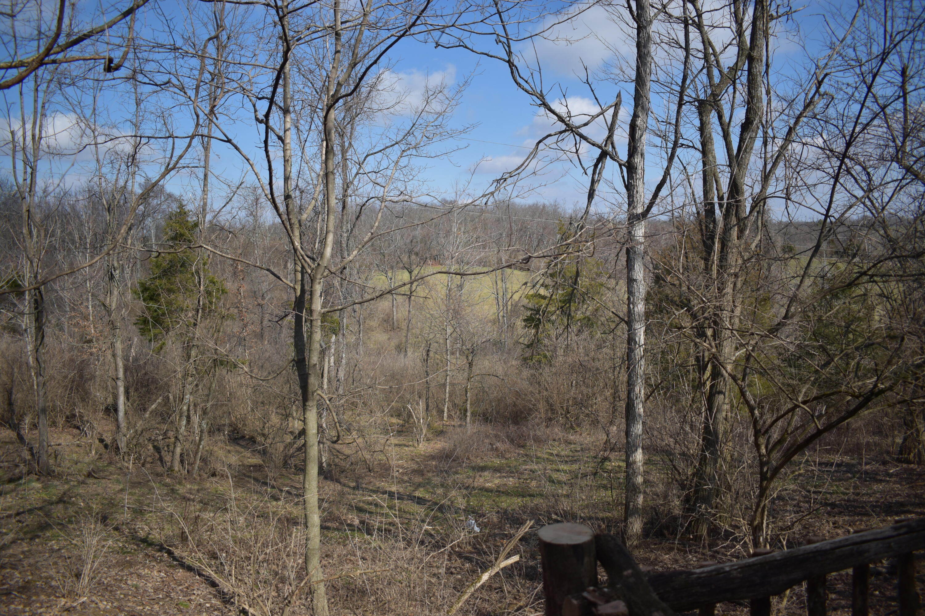 0 Hick Hardy Road Cynthiana, KY 41031 - Photo 7 of 9 DSC_0489