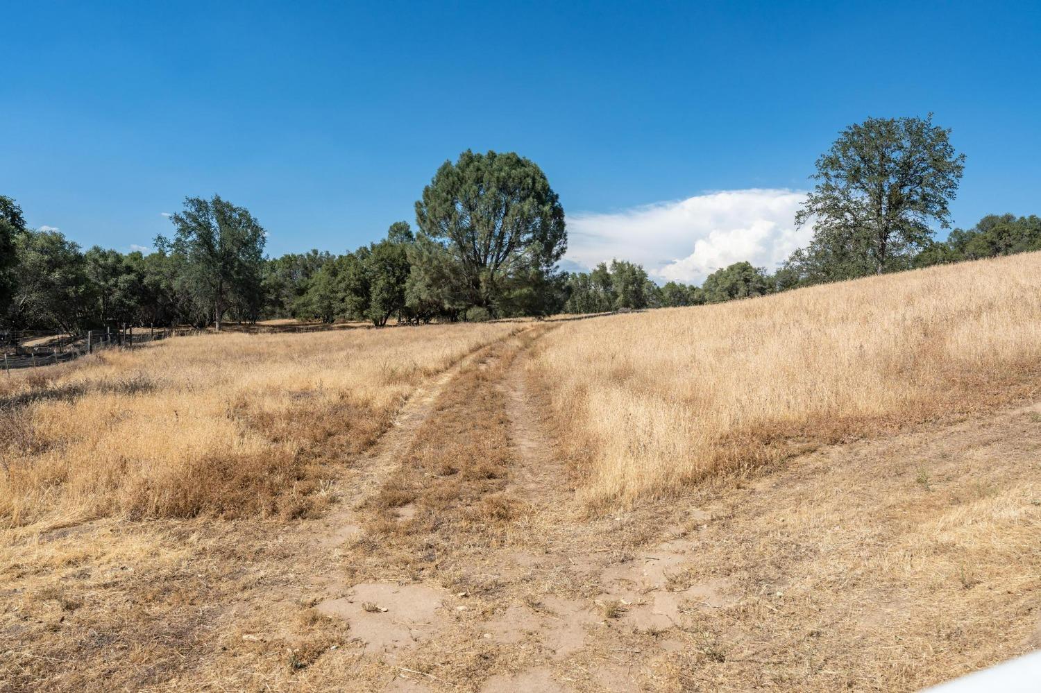 46853 Chukchansi Road Coarsegold, CA 93614 - Photo 73 of 75 Gallery Image 73