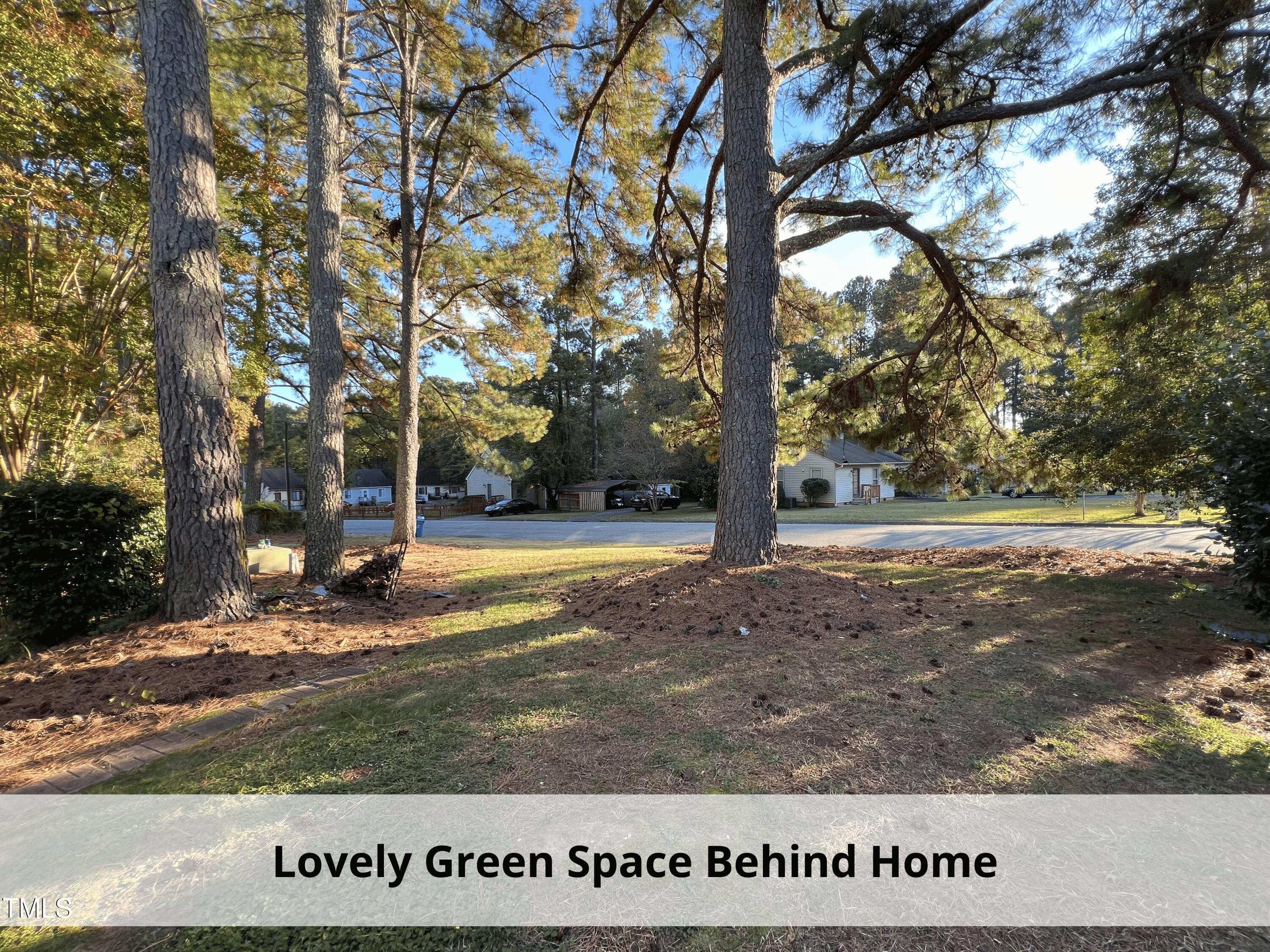 3775 Guess Road, Unit 43 Durham, NC 27705 - Photo 32 of 34 a view of yard with tree