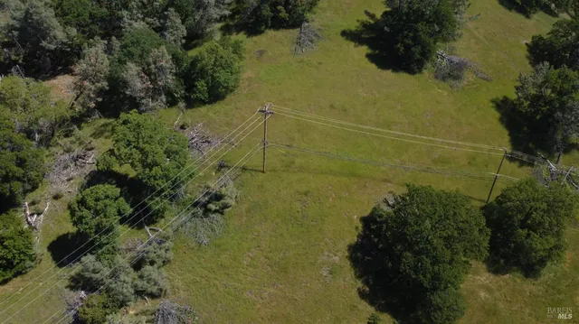 a view of a lake with a forest