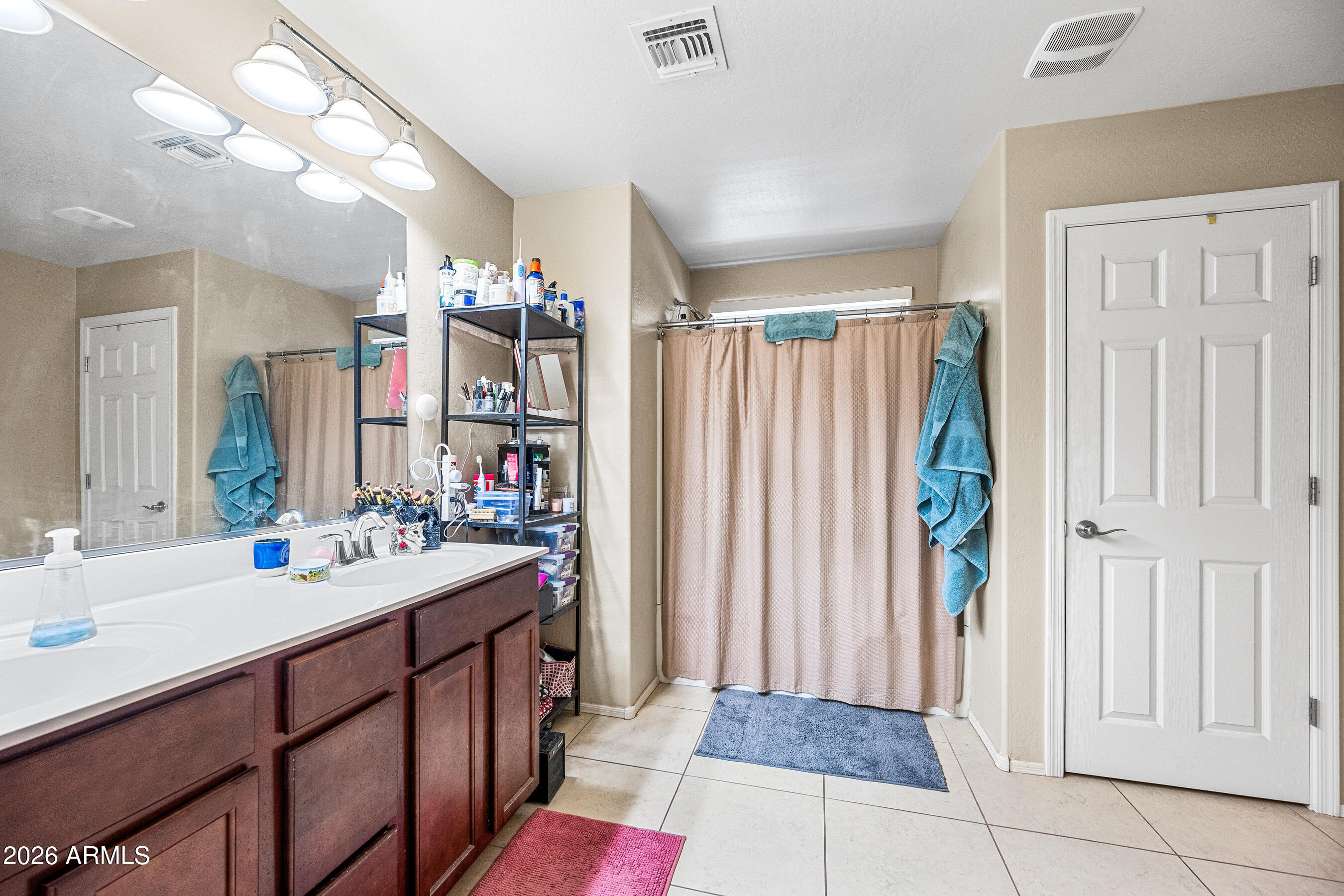 867 South Swallow Lane Gilbert, AZ 85296 - Photo 10 of 23 Primary Bathroom
