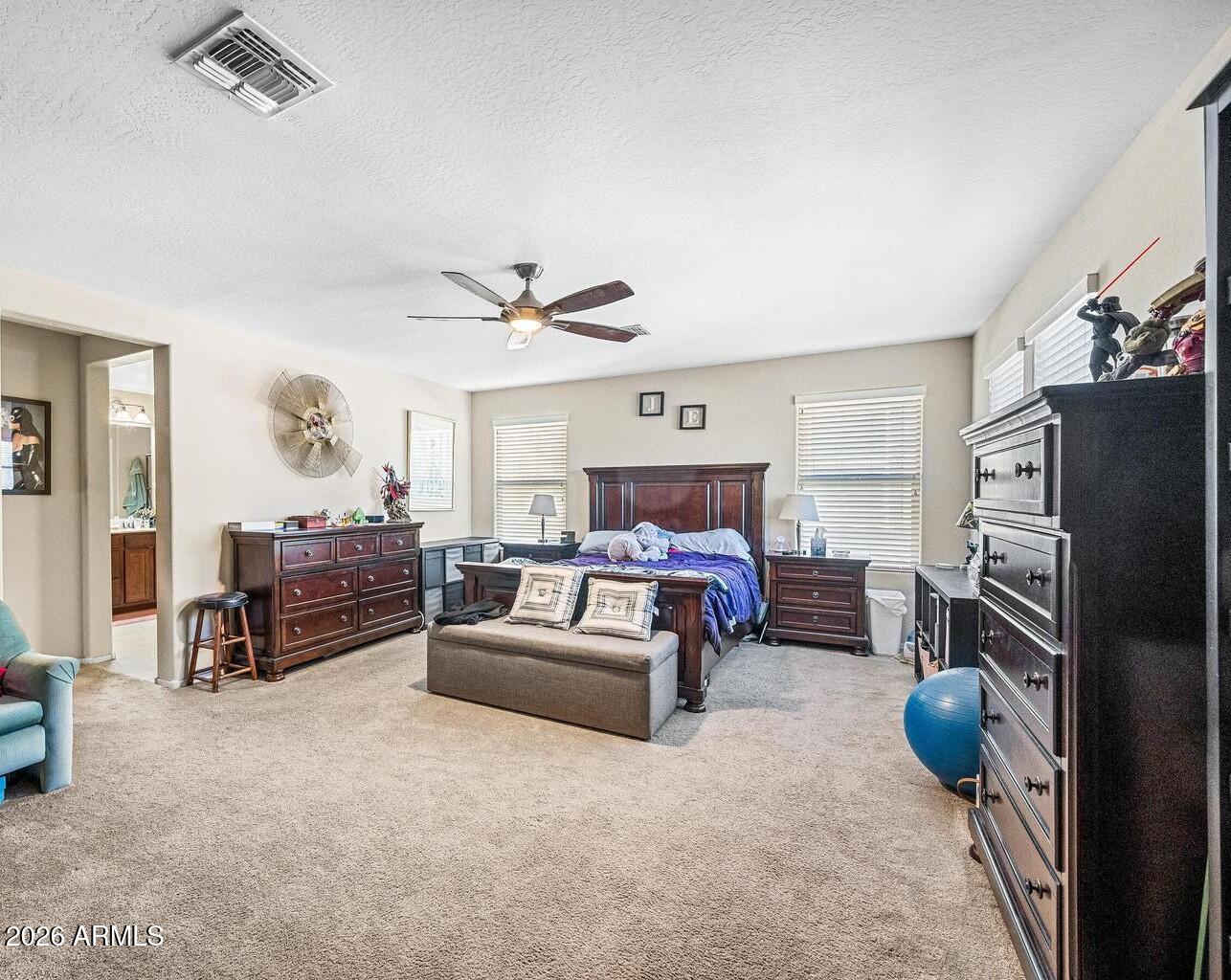 867 South Swallow Lane Gilbert, AZ 85296 - Photo 8 of 23 Primary Bedroom