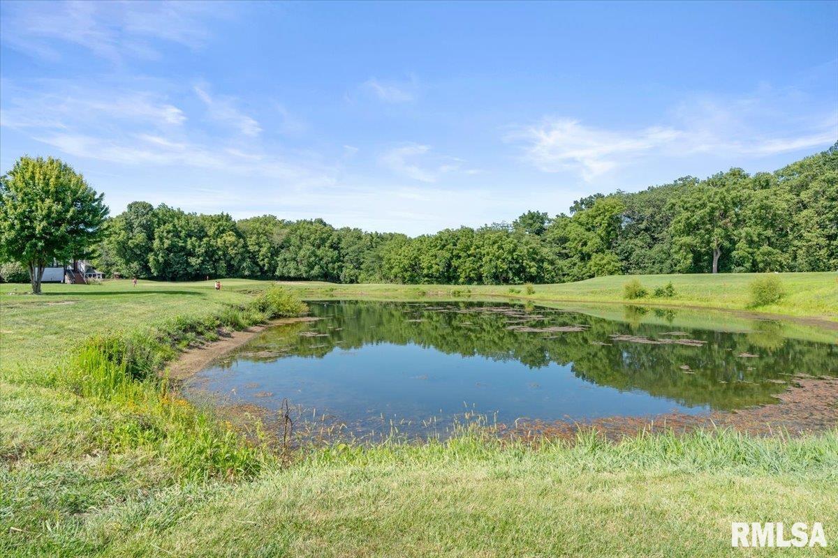 2405 Rosewell Point Springfield, IL 62711 - Photo 41 of 49 Gallery Image 41