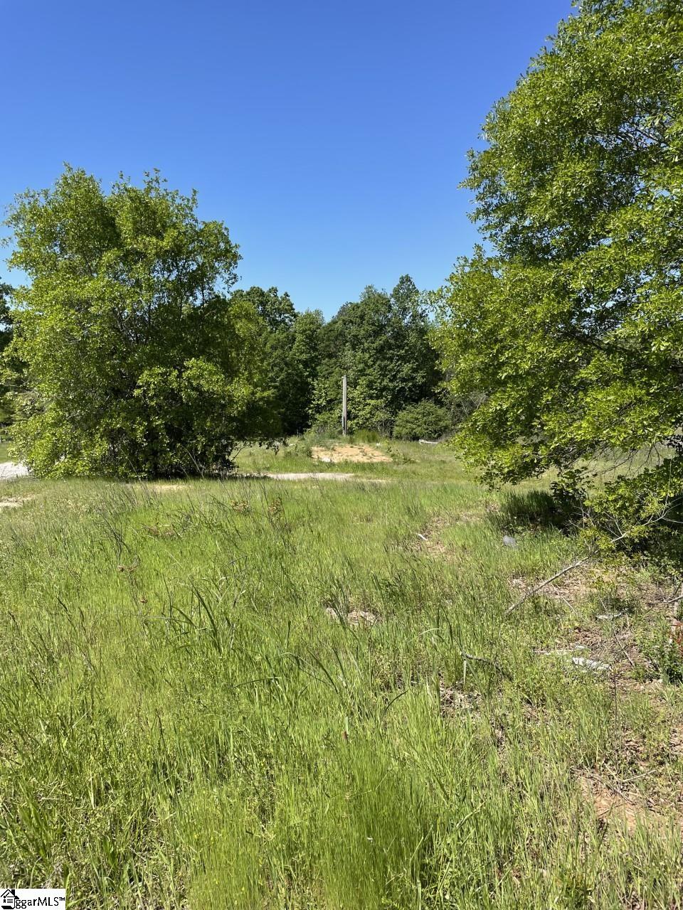 906 Renno Road Clinton, SC 29325 - Photo 33 of 36