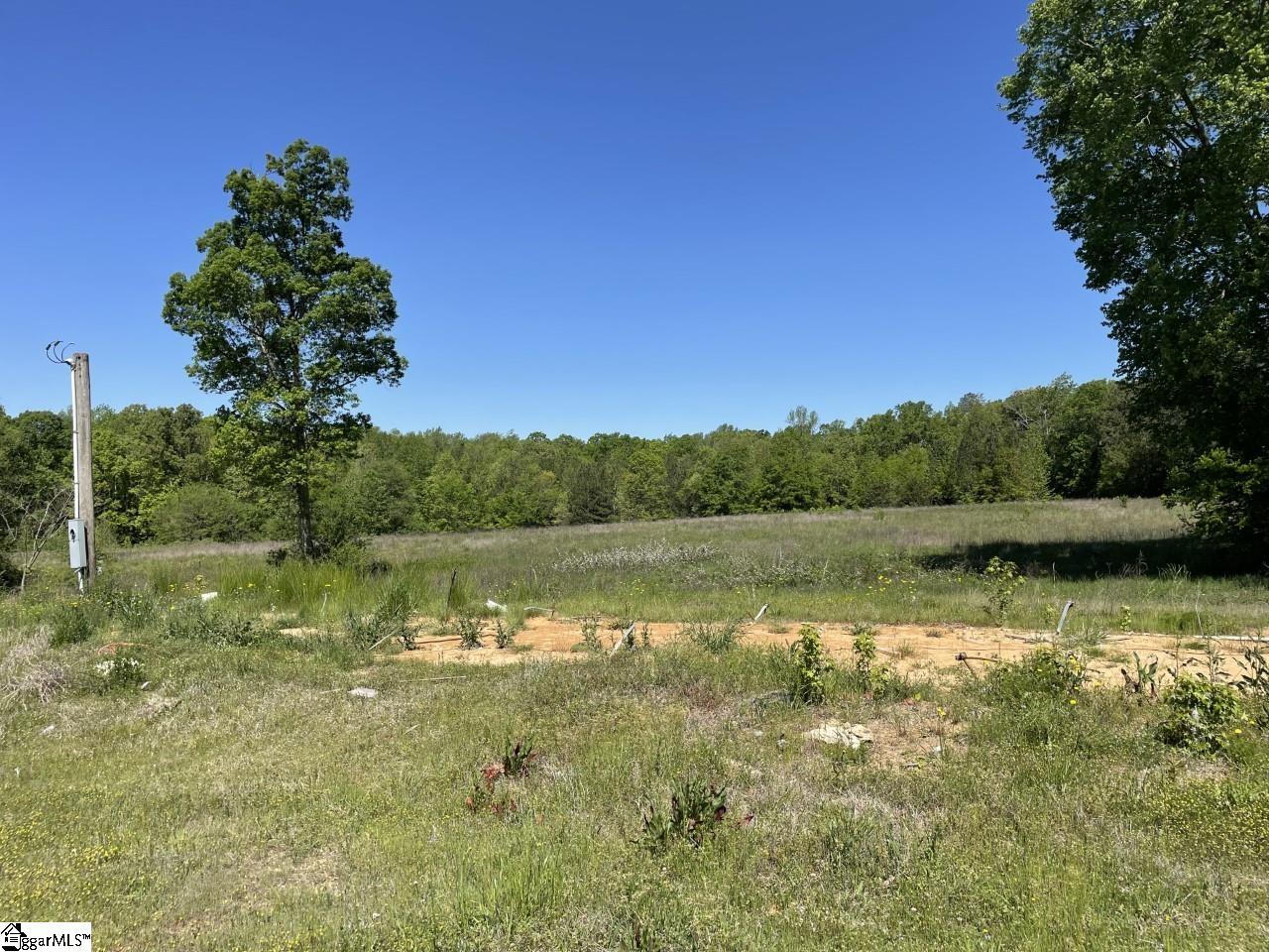 906 Renno Road Clinton, SC 29325 - Photo 34 of 36