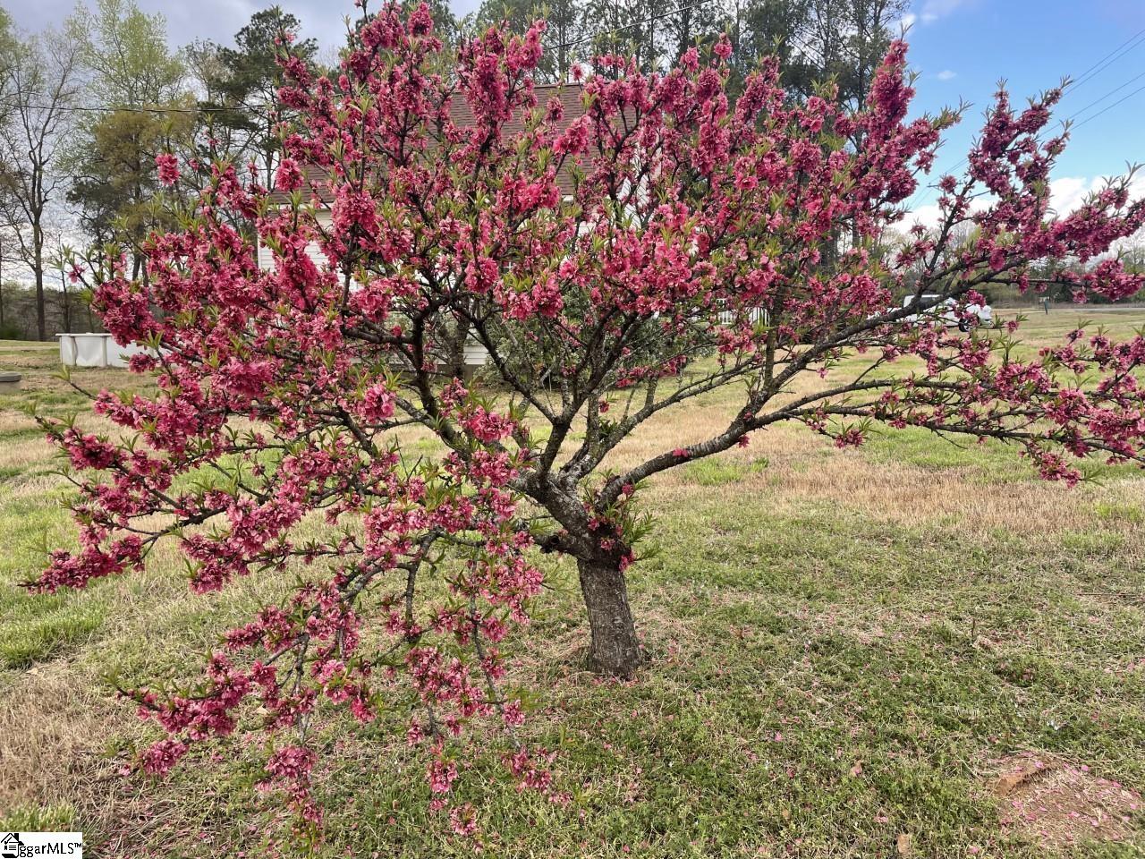 906 Renno Road Clinton, SC 29325 - Photo 35 of 36