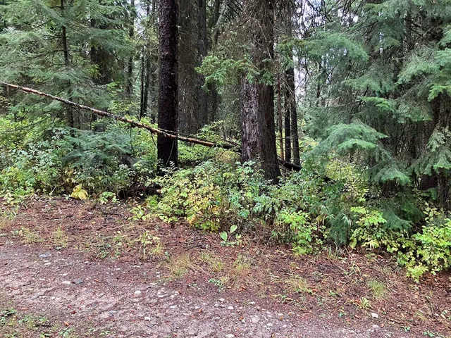 $250,000 | 1790 Lark Trail, Unit 6A22, Cascade, ID 83611