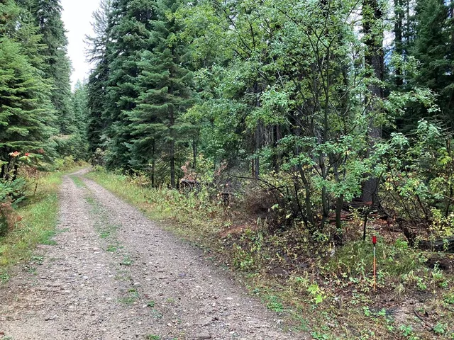 $250,000 | 1790 Lark Trail, Unit 6A22, Cascade, ID 83611