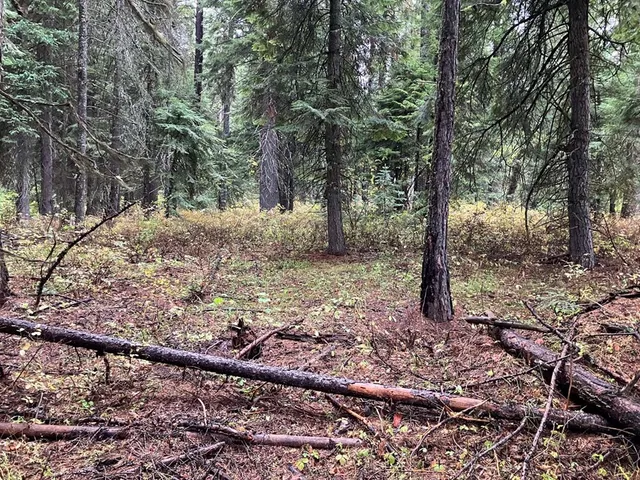 $250,000 | 1790 Lark Trail, Unit 6A22, Cascade, ID 83611