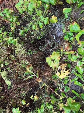 $250,000 | 1790 Lark Trail, Unit 6A22, Cascade, ID 83611