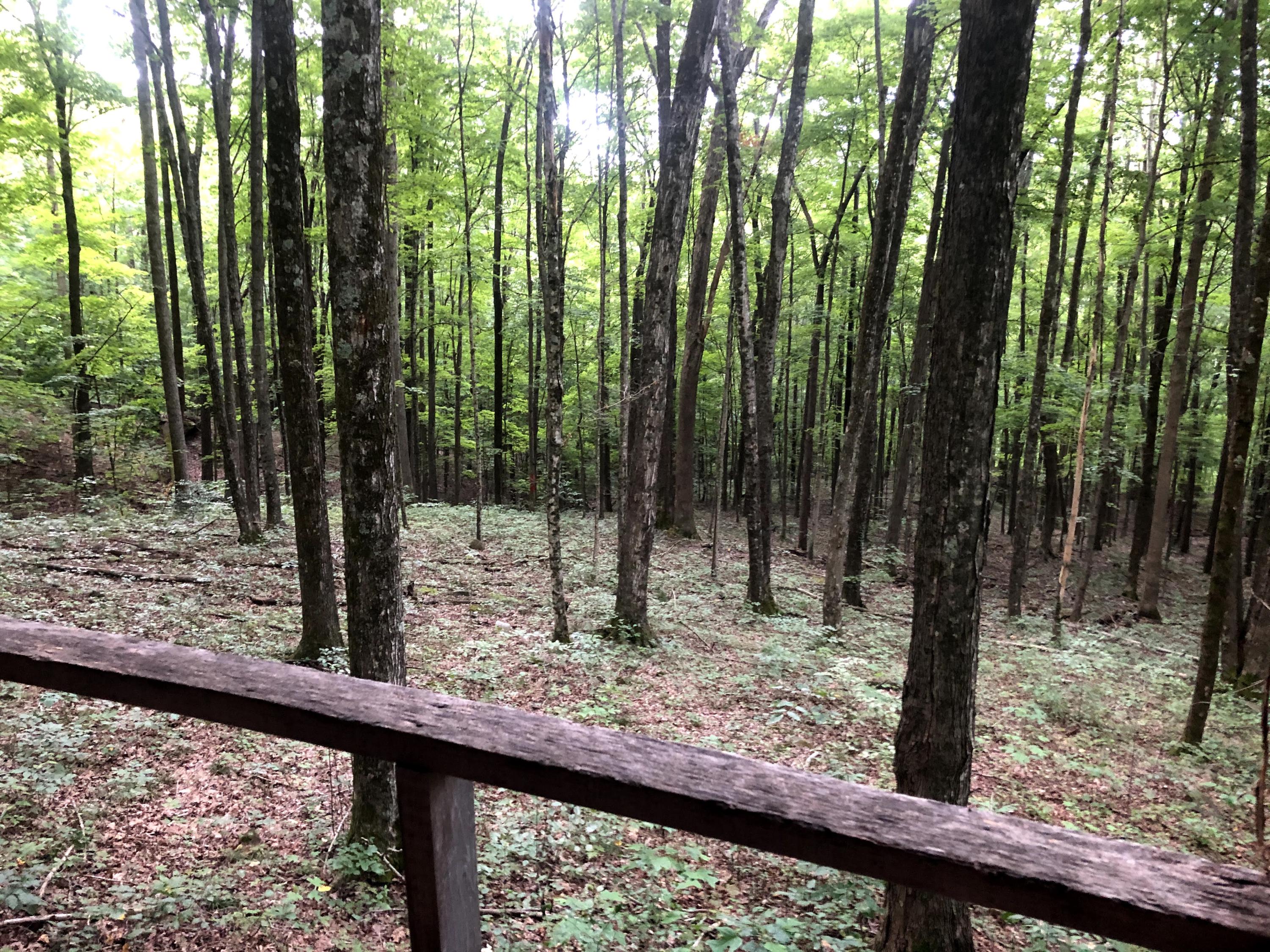 1499 King Mountain Road Jamestown, TN 38556 - Photo 11 of 16 IMG_4118