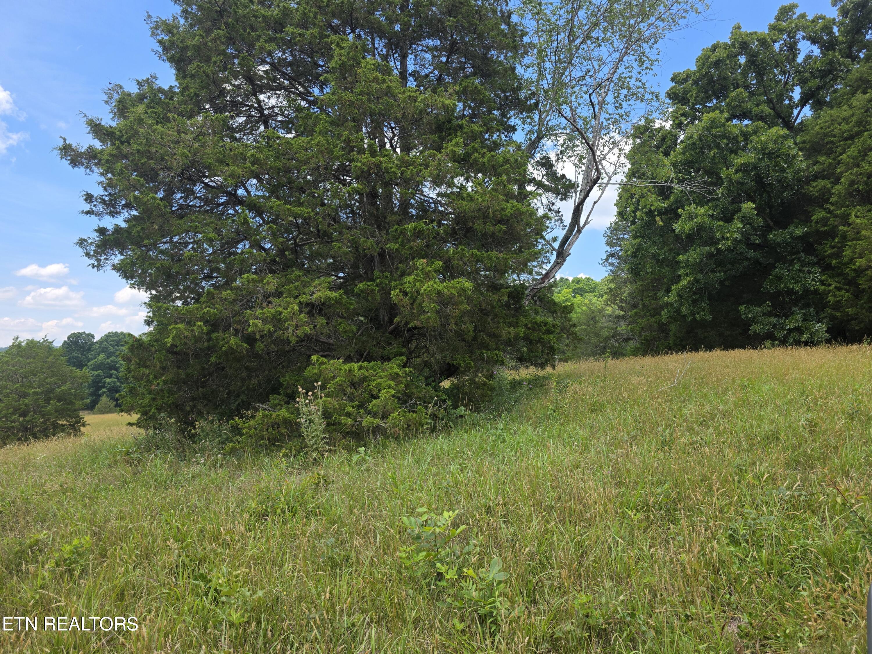 8050 Lett Road Corryton, TN 37721 - Photo 13 of 30 Pasture