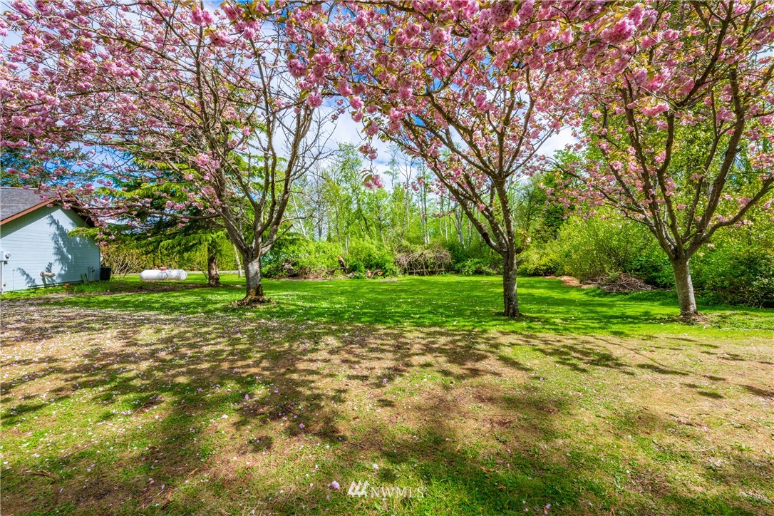3229 Robertson Road Bellingham, WA 98226 - Photo 22 of 25 Gallery Image 22