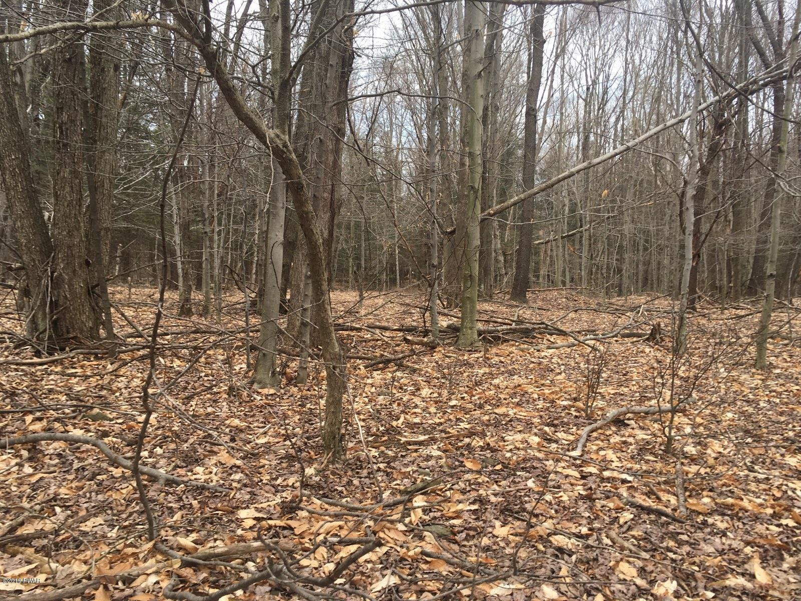 35 Timbertop Trail Newfoundland, PA 18445 - Photo 1 of 2