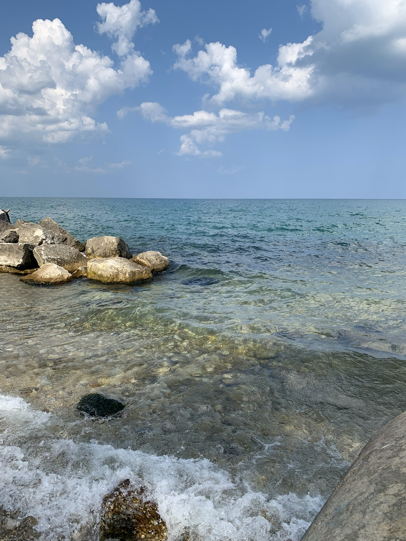 697 Bluff Road Lake Bluff, IL 60044 - Photo 46 of 47