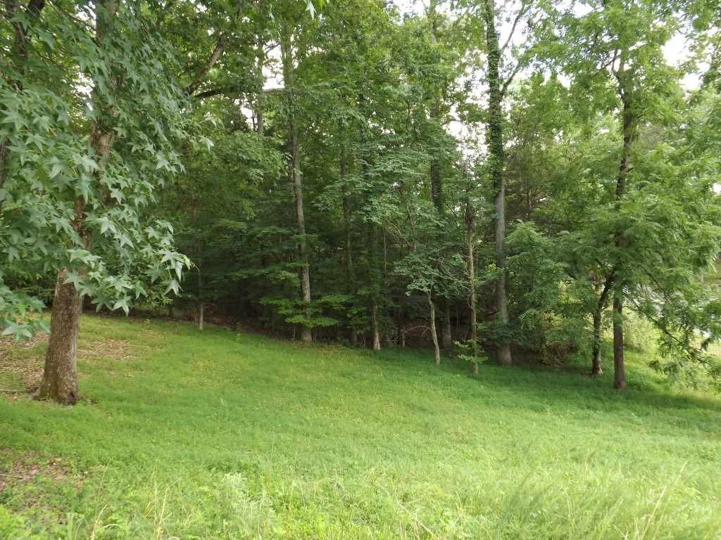 1694 Stump Hollow Road Spring City, TN 37381 - Photo 11 of 49 Gallery Image 11