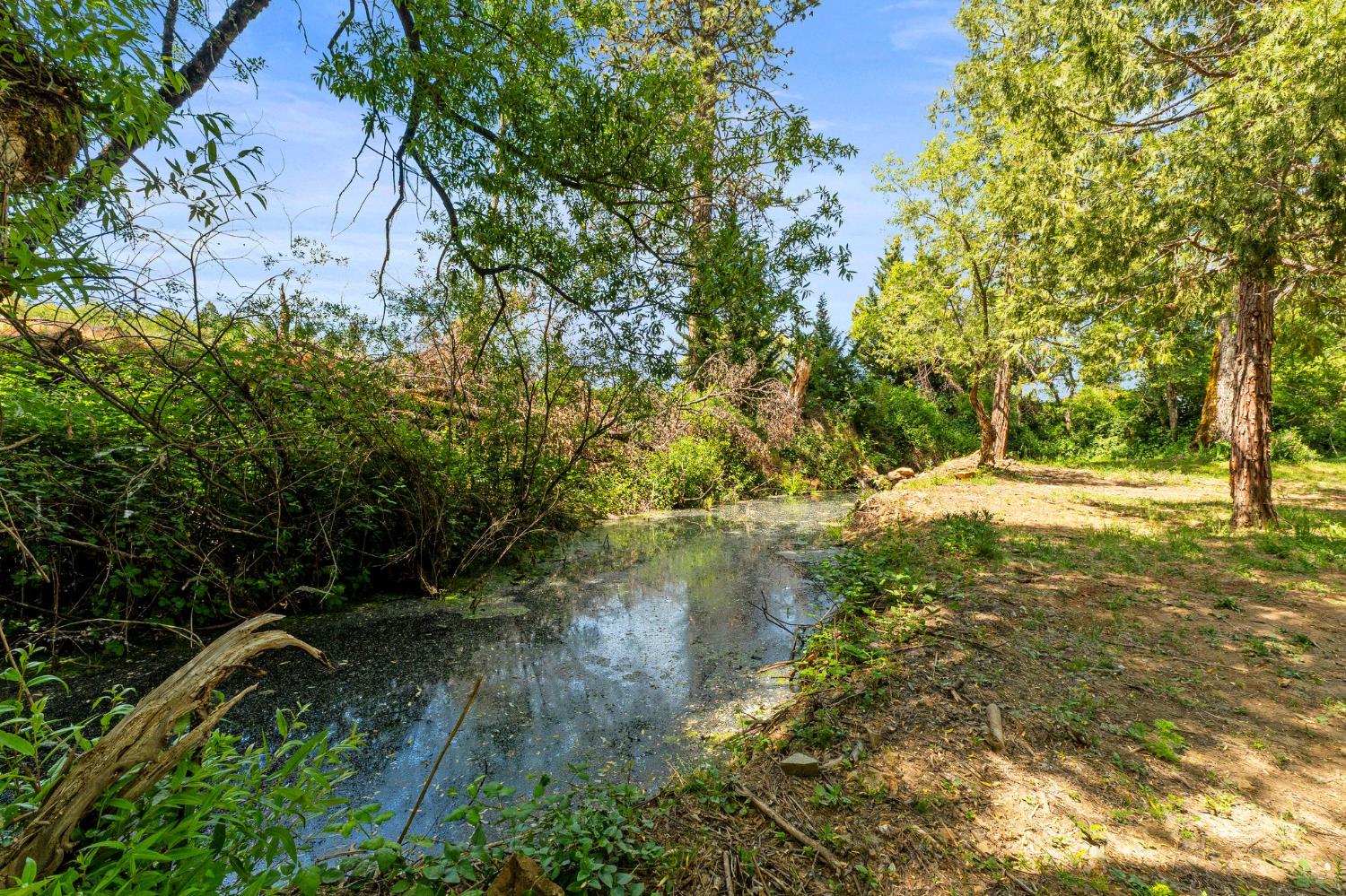 13433 Newtown Road Nevada City, CA 95959 - Photo 11 of 33 a view of outdoor space and yard
