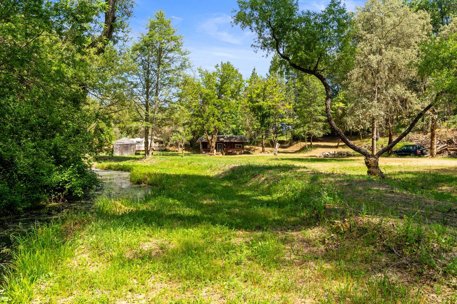13433 Newtown Road Nevada City, CA 95959 - Photo 13 of 33 a view of yard with green space